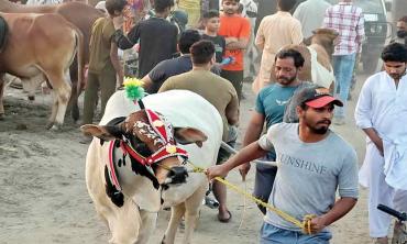 An  eco-friendly Eid