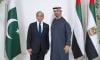 Pakistan, UAE emphasise supporting int'l efforts for stability, peace