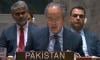 Pakistan stands in 'resolute solidarity' with Iran at UN Security Council